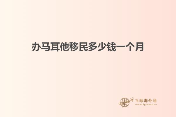 办马耳他移民多少钱一个月