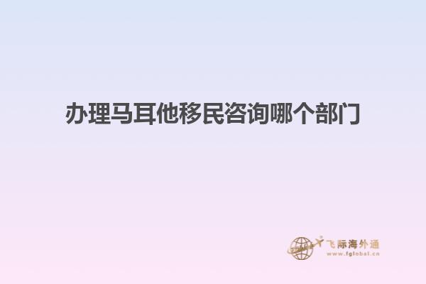 办理马耳他移民咨询哪个部门