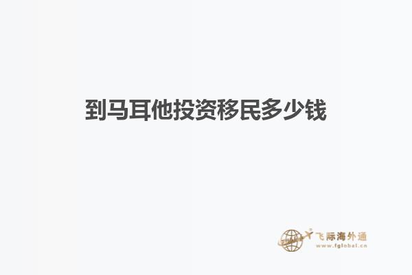 到马耳他投资移民多少钱