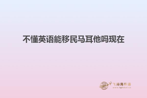 不懂英语能移民马耳他吗现在