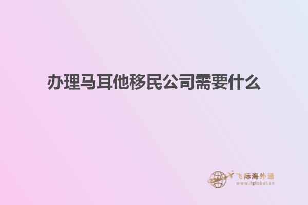 办理马耳他移民公司需要什么