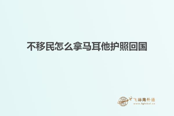 不移民怎么拿马耳他护照回国