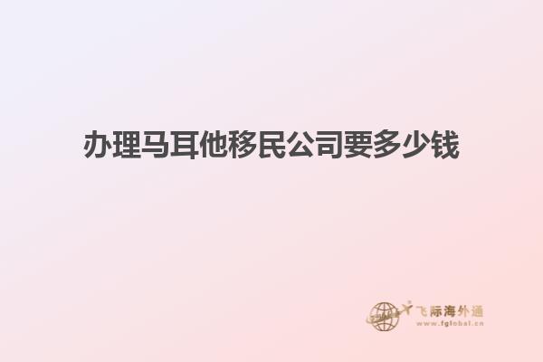 办理马耳他移民公司要多少钱