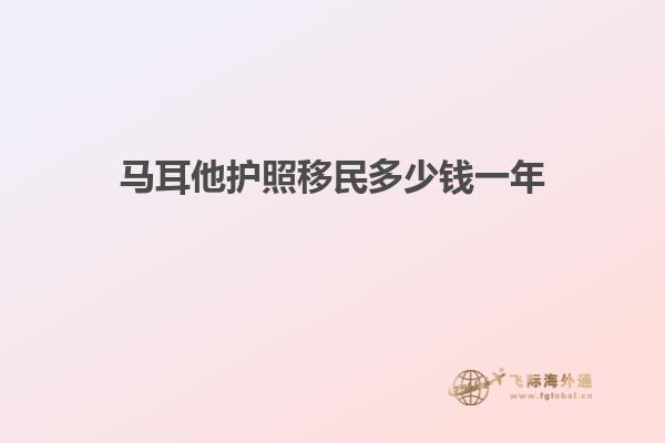 马耳他护照移民多少钱一年