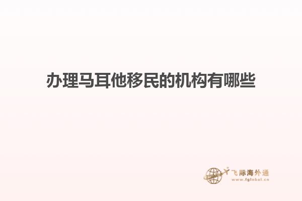 办理马耳他移民的机构有哪些