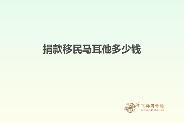捐款移民马耳他多少钱