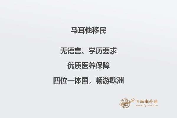 马耳他移民最好的大学排名