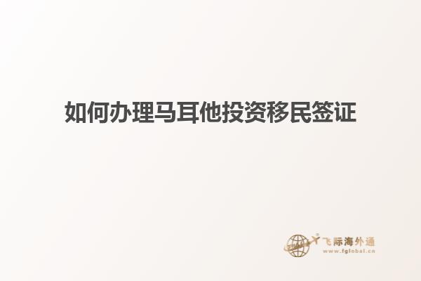 如何办理马耳他投资移民签证