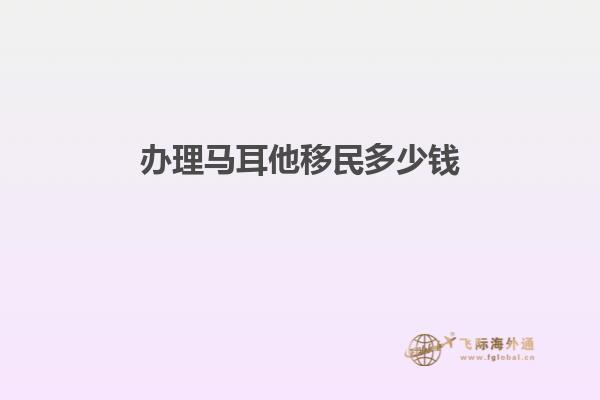 办理马耳他移民多少钱