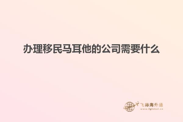 办理移民马耳他的公司需要什么