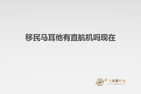 移民马耳他有直航机吗现在