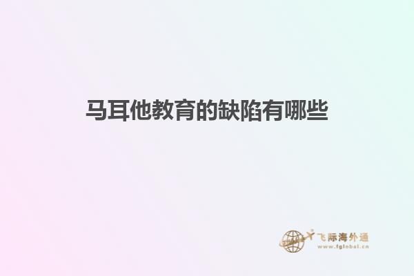 马耳他教育的缺陷有哪些