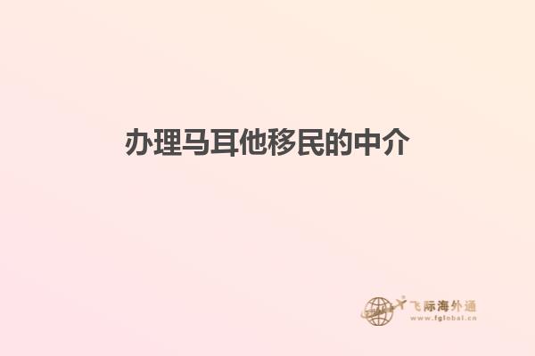 办理马耳他移民的中介