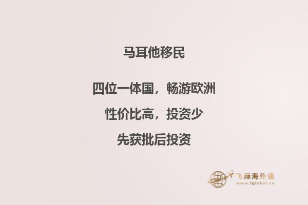 马耳他和匈牙利移民比较哪个好
