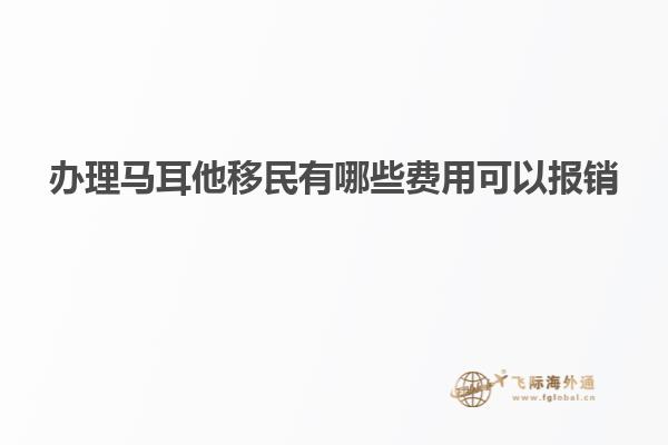 办理马耳他移民有哪些费用可以报销
