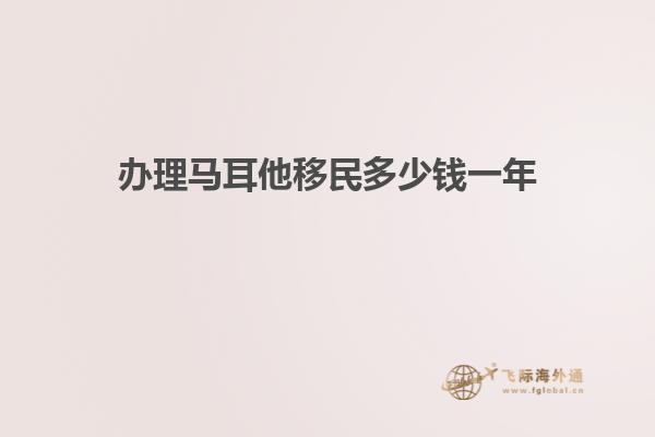 办理马耳他移民多少钱一年