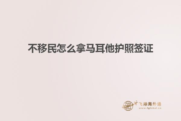 不移民怎么拿马耳他护照签证