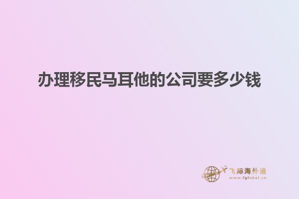 办理移民马耳他的公司要多少钱