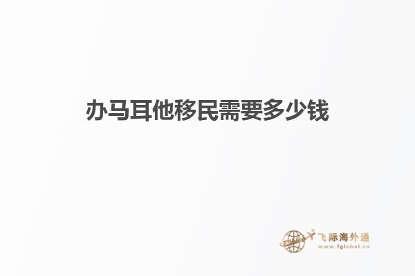 办马耳他移民需要多少钱