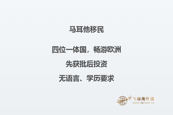 办马耳他移民需要多少钱