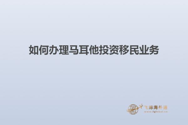 如何办理马耳他投资移民业务