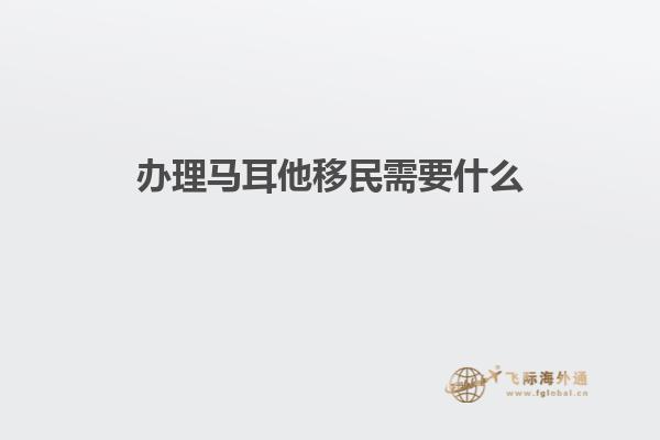 办理马耳他移民需要什么