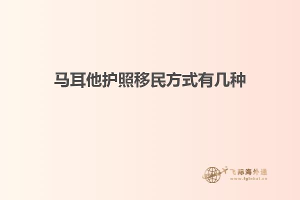 马耳他护照移民方式有几种