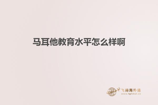 马耳他教育水平怎么样啊