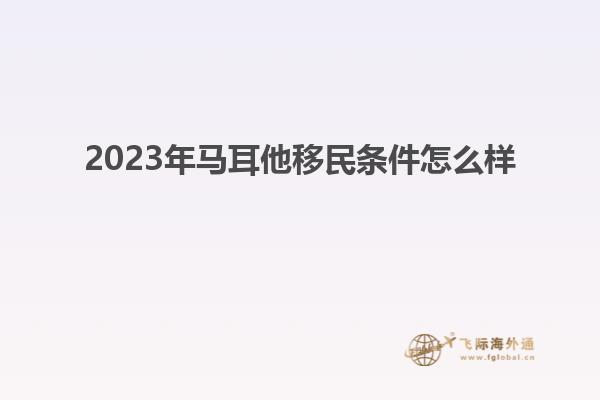2023年马耳他移民条件怎么样