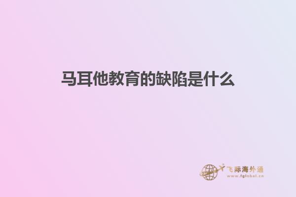 马耳他教育的缺陷是什么