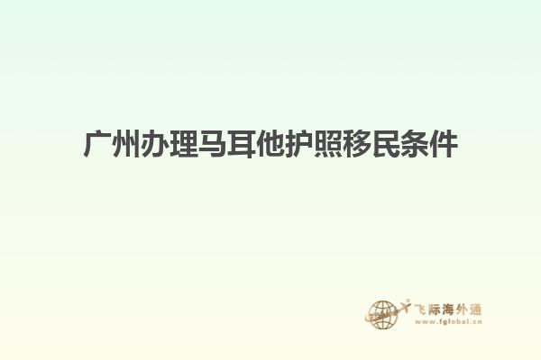 广州办理马耳他护照移民条件