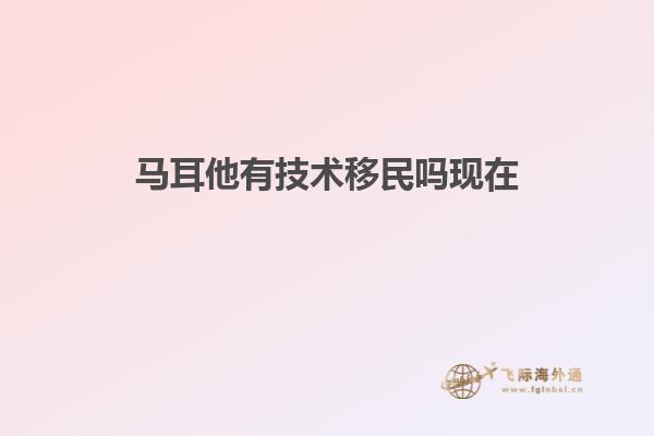 马耳他有技术移民吗现在
