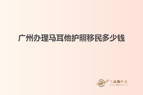 广州办理马耳他护照移民多少钱