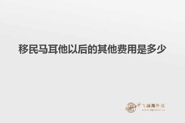 移民马耳他以后的其他费用是多少