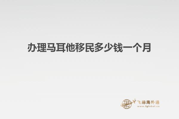 办理马耳他移民多少钱一个月