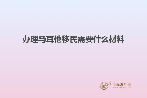 办理马耳他移民需要什么材料
