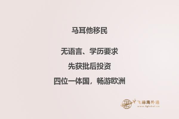 办理马耳他移民需要什么材料