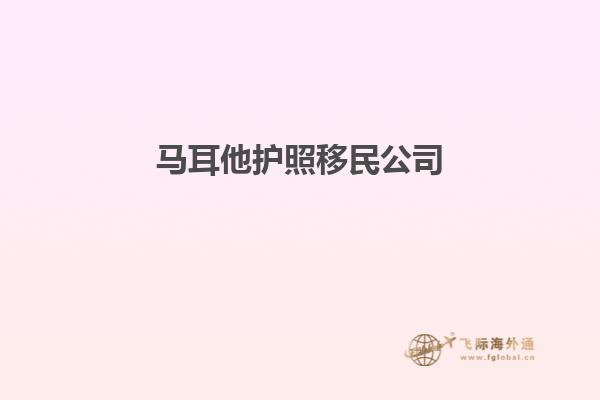 马耳他护照移民公司