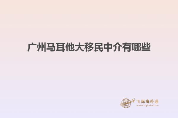 广州马耳他大移民中介有哪些