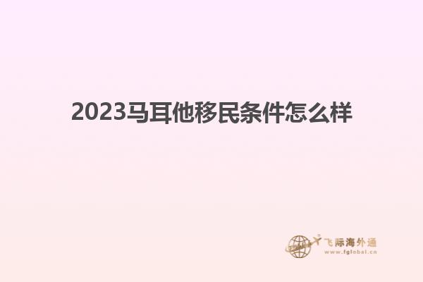 2023马耳他移民条件怎么样
