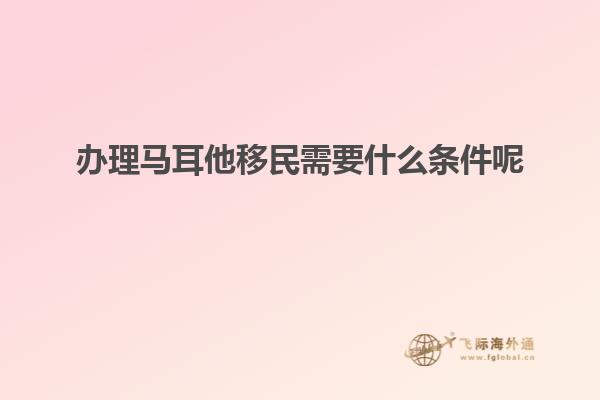 办理马耳他移民需要什么条件呢