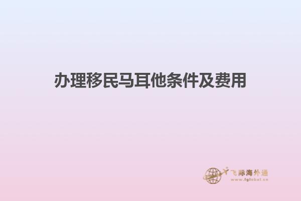 办理移民马耳他条件及费用
