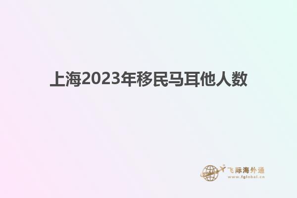 上海2023年移民马耳他人数