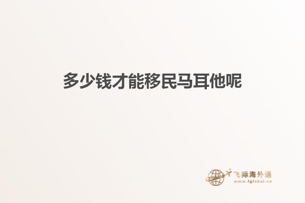 多少钱才能移民马耳他呢