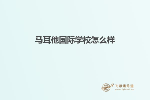 马耳他国际学校怎么样