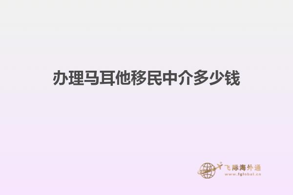 办理马耳他移民中介多少钱