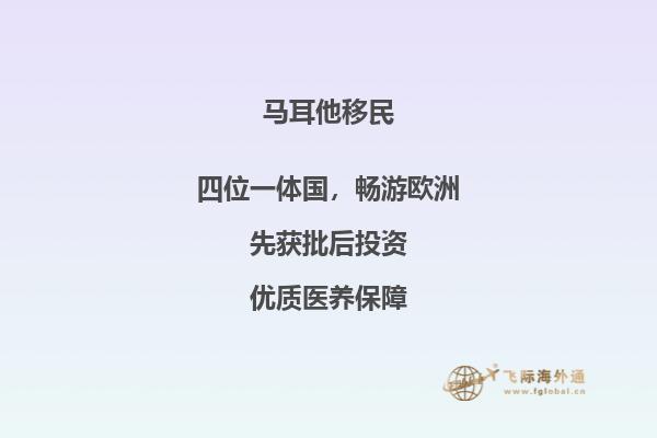 移民马耳他要什么手续和费用