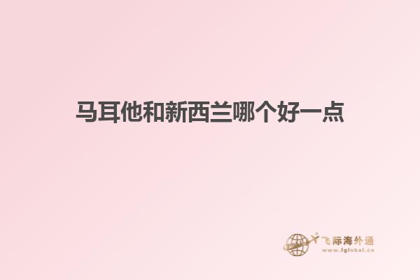 马耳他和新西兰哪个好一点