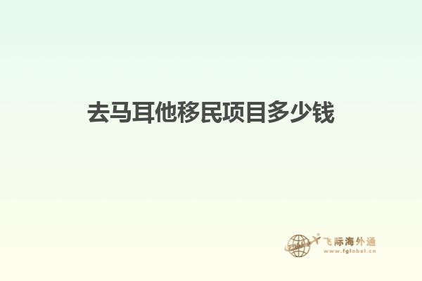 去马耳他移民项目多少钱