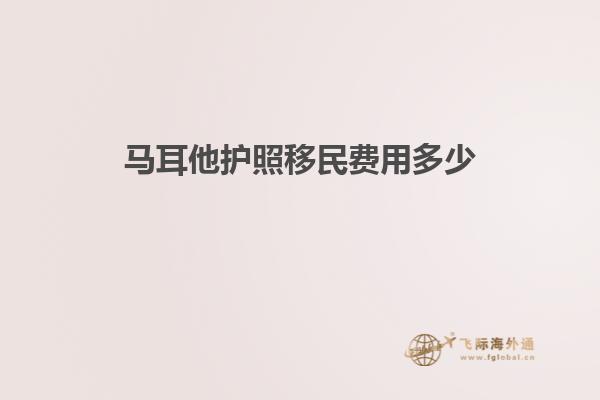 马耳他护照移民费用多少